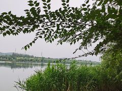 -永定河休闲森林公园