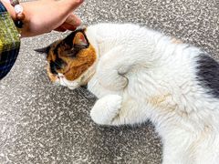 -谷咖啡·鲜花绿植花园餐厅