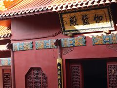 -深圳仙湖植物园
