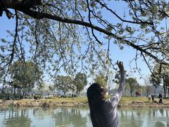 -晓琦农家菜馆·地道农家菜