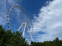 -美心红酒小镇游乐园