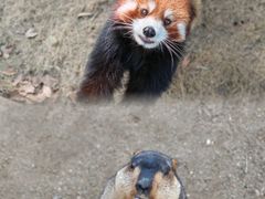 -常州淹城野生动物世界