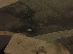 -龍歌自助小火锅(市北台东利群店)