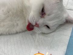 -拜鲁耶动物诊疗中心·宠家动物医院