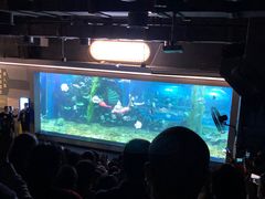 -顺德南宏海立方海洋公园