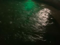 -西安国际创新人才交流中心•药浴温泉