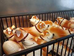 -J Create城市露营咖啡·简餐·宠物(上海动物园店)