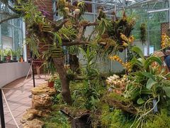 -国家植物园南园