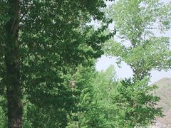 -白河湾生态旅游一条川