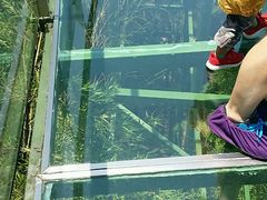 -陶祖圣境风景区