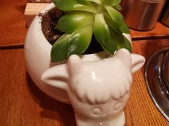 -FAT COW(虹梅路店)