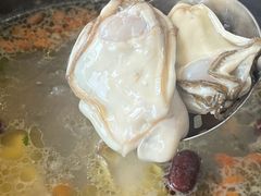 -濠轩阁特色生蚝火锅(水湾路店)