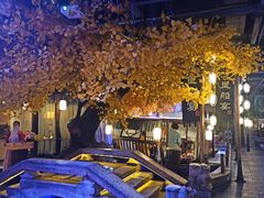 -淀里船宴(裕华东路店)