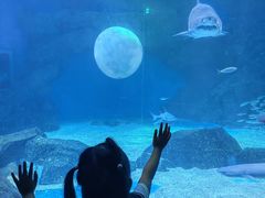 -海合安成都极地海洋公园