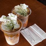 喜欢西安的春天🌷让每家小店都在走花路！
