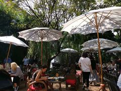 -Fern Forest Cafe