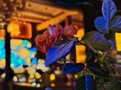 -悦界酒吧(后海店)