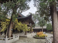 -窦大夫祠