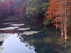 -鹿鸣酒家(越秀店)
