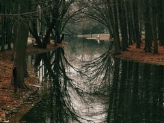 -上海共青森林公园