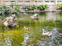 -国恩寺
