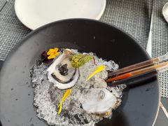 -VENU+海景酒廊