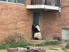 -苏州太湖国家湿地公园