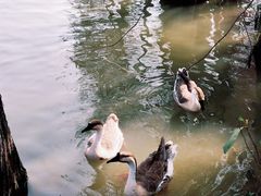 -海珠湖公园