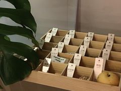 -灸春堂·专业艾灸·连锁品牌(丰潭路店)