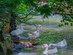 -绍兴书圣故里景区