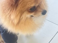-怪兽屋·羊驼·猫咖·狗咖(俊华广场店)