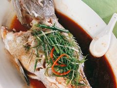 东星斑-盛港湾海鲜食府(黄沙店)