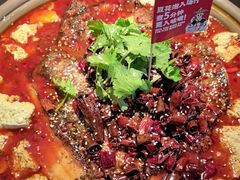 -师烤·豆花烤鱼(广州荔湾扬韬广场店)