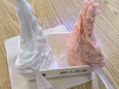 -野人先生Gelato(上海长宁龙之梦店)