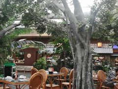 -春满园生态餐厅(南宫路店)
