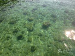 -东姑阿都拉曼海洋公园