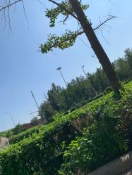 -HEYAN荷妍专业脱毛连锁机构