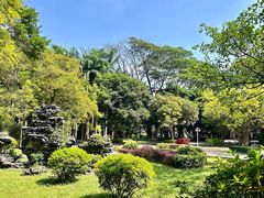 -滴水岩森林公园
