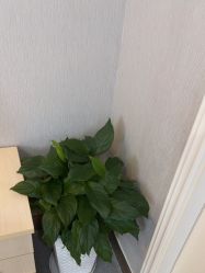 -青岛诺德医学美容医院