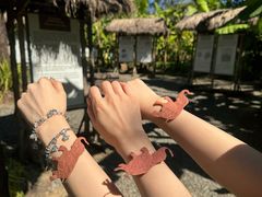 -大象粑粑造纸公园