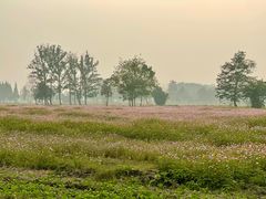 -中国天府农业博览园