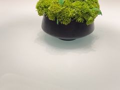 -湖锦酒楼·旗舰店(三阳总店)
