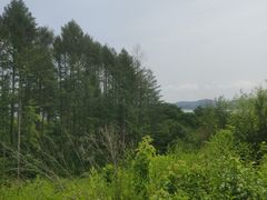 -萨尔浒风景区