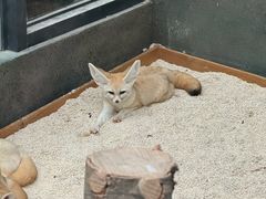 -宁波野生动物园