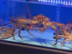 -阿伟海鲜楼·福建菜(延寿店)