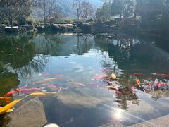 -中国茶叶博物馆(双峰馆区)