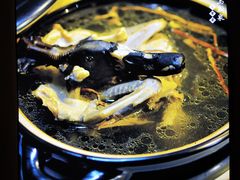 -鹭岛新泉客家菜·海鲜·融合菜(莲前店)