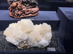 -山东博物馆