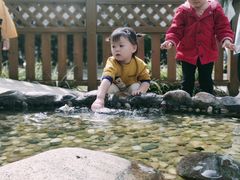 -蒙蒙狮蒙台梭利儿童之家