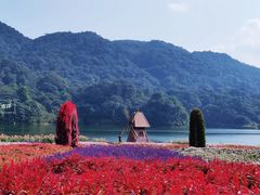 -广州市石门国家森林公园